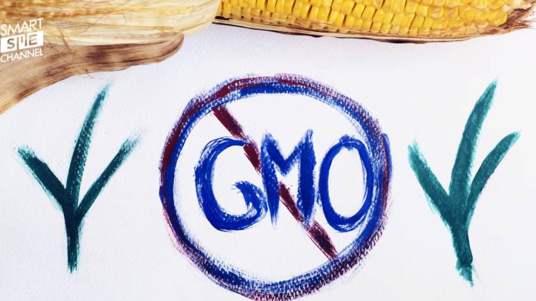 กรณีศึกษา : โปแลนด์คุมเข้มอาหาร GMOs
