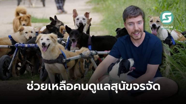 ใจบุญอีกแล้ว! MrBeast ส่งคนเข้าช่วยผู้ดูแลสุนัขจรจัด ที่ทำทุกอย่างคนเดียวในไทย