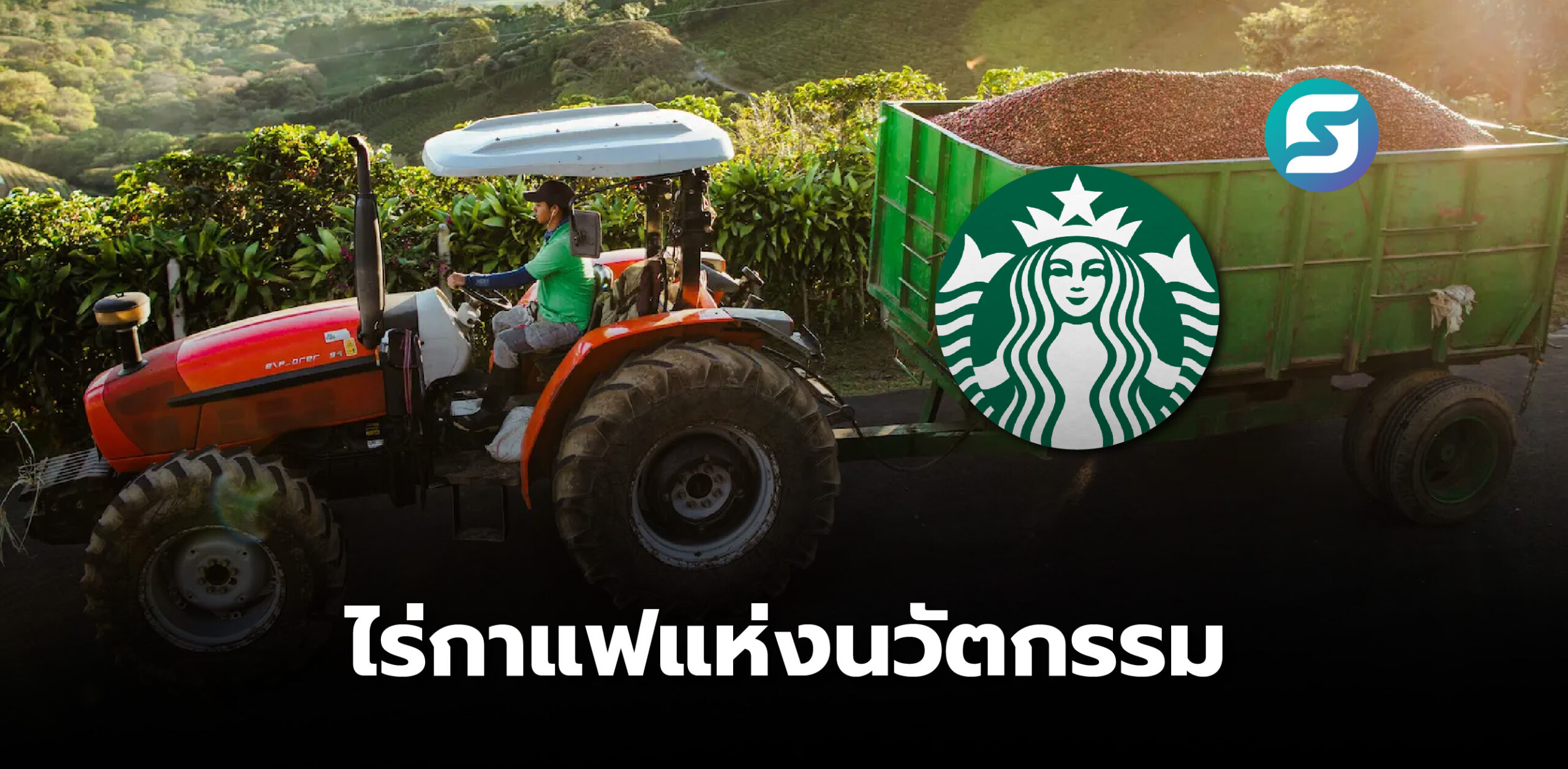 สตาร์บัคส์