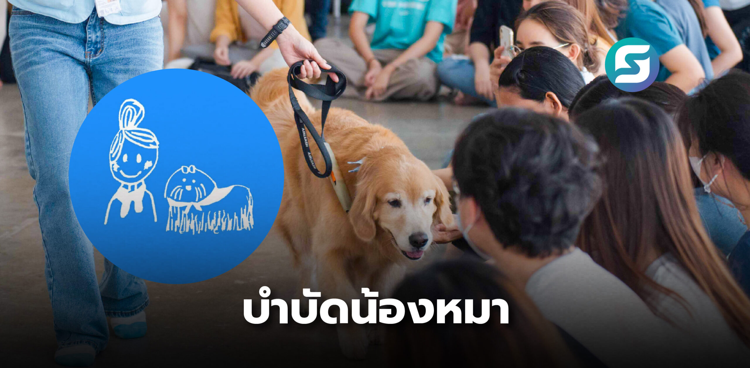 THERAPY DOG THAILAND