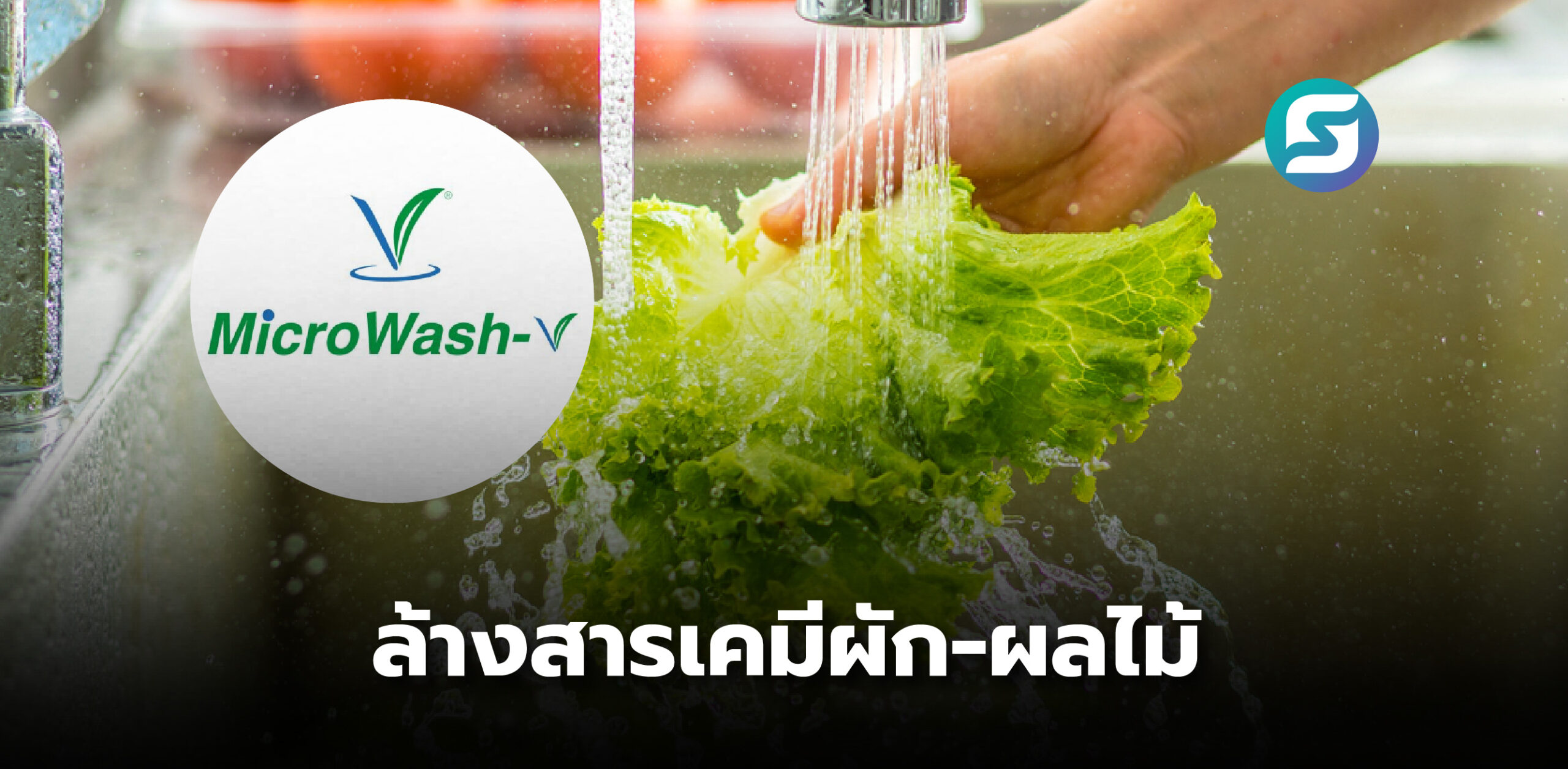 ไมโครวอช–วี