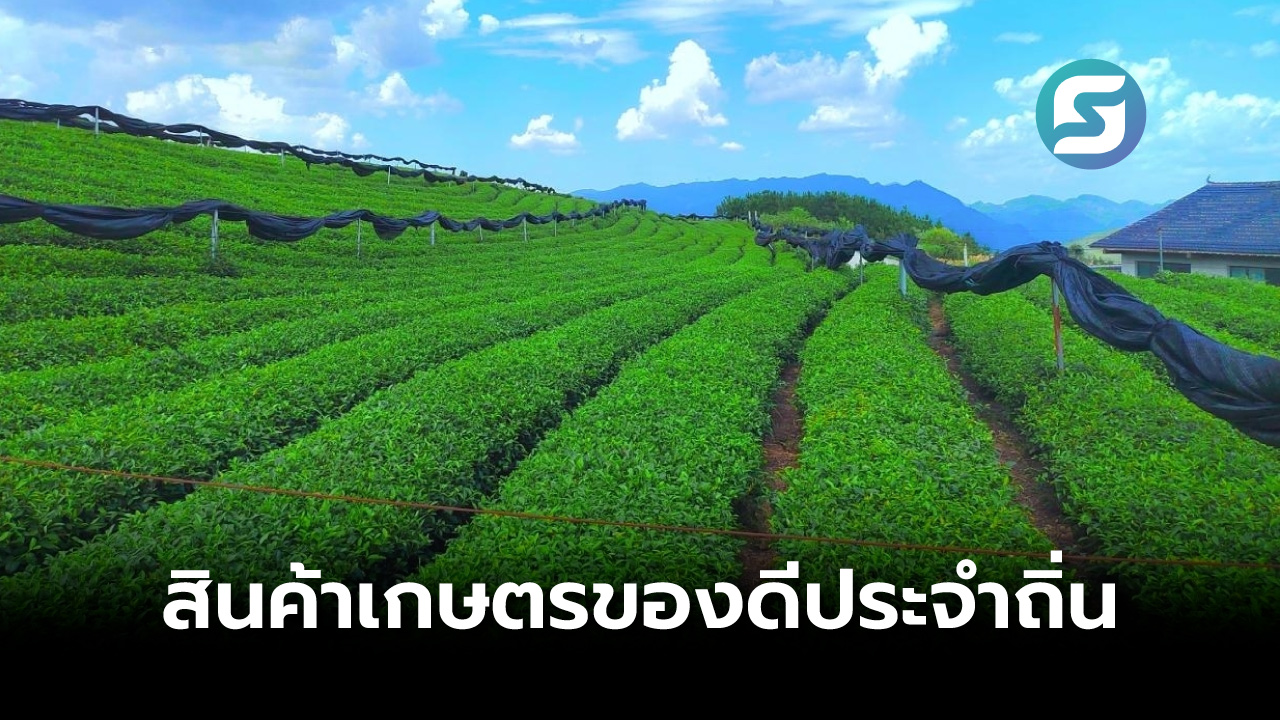 สินค้าเกษตร