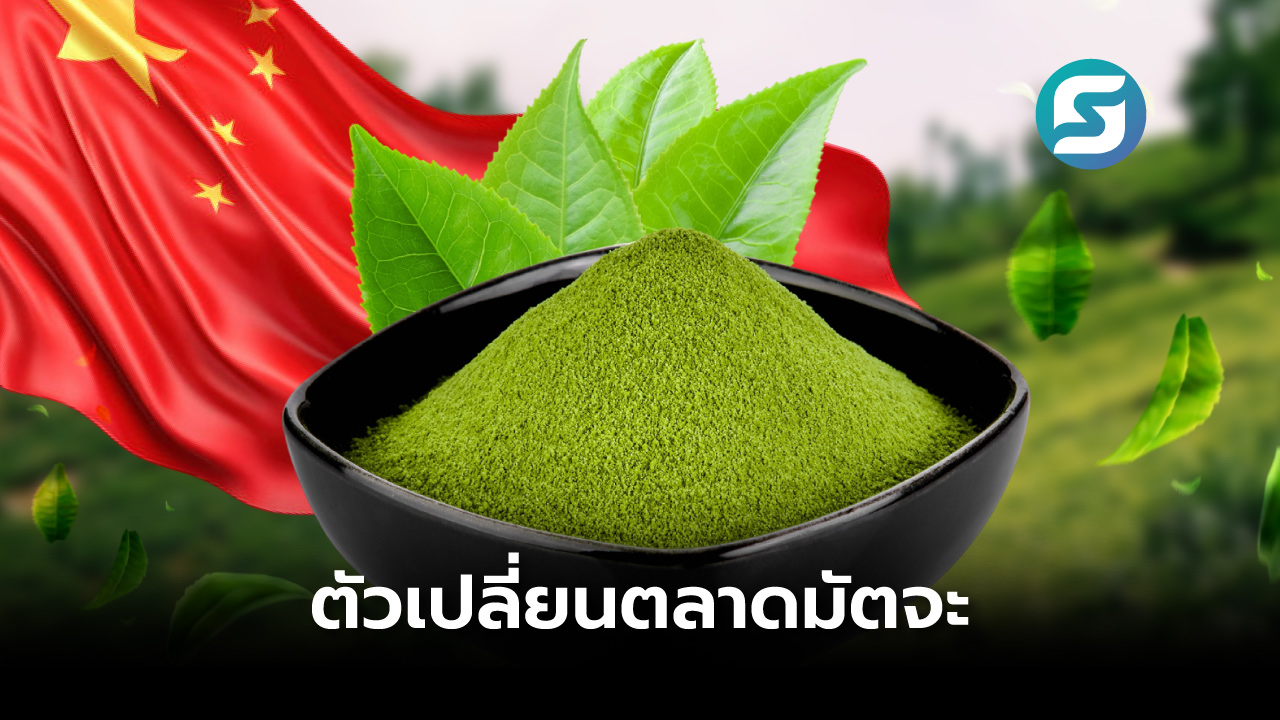 มัตจะจีน