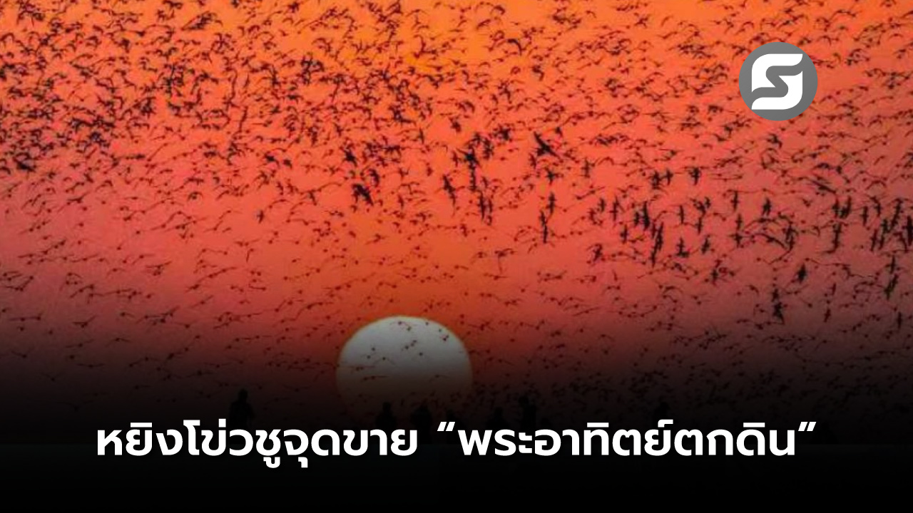 พระอาทิตย์ตกดิน