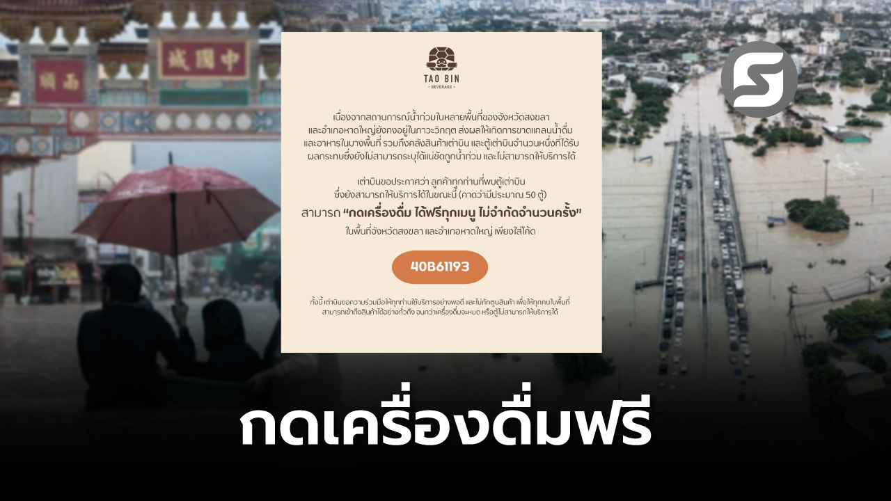 เต่าบิน