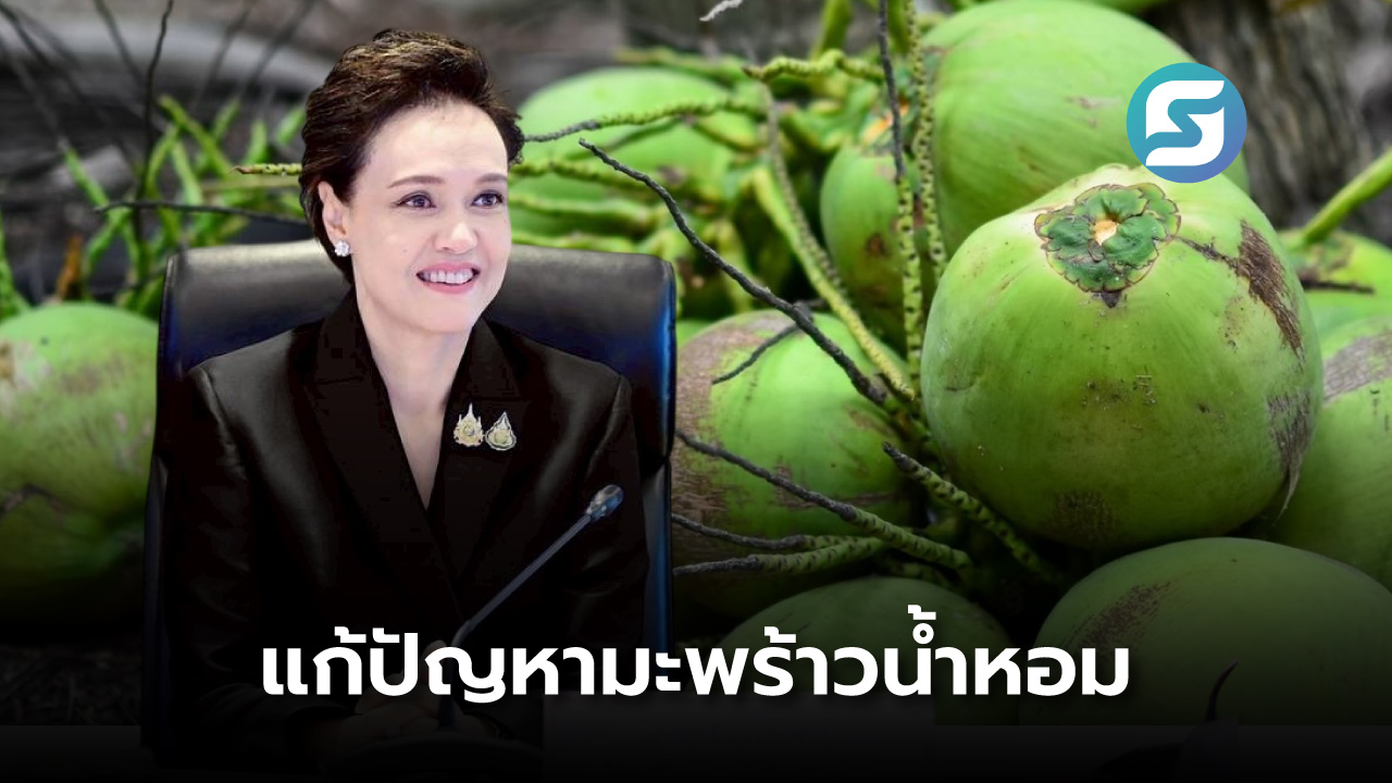 มะพร้าวน้ำหอม