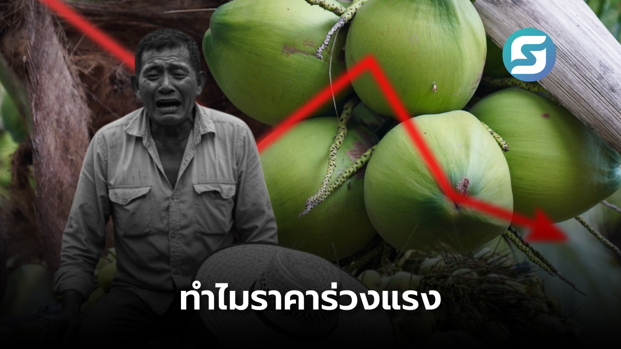 มะพร้าวน้ำหอม