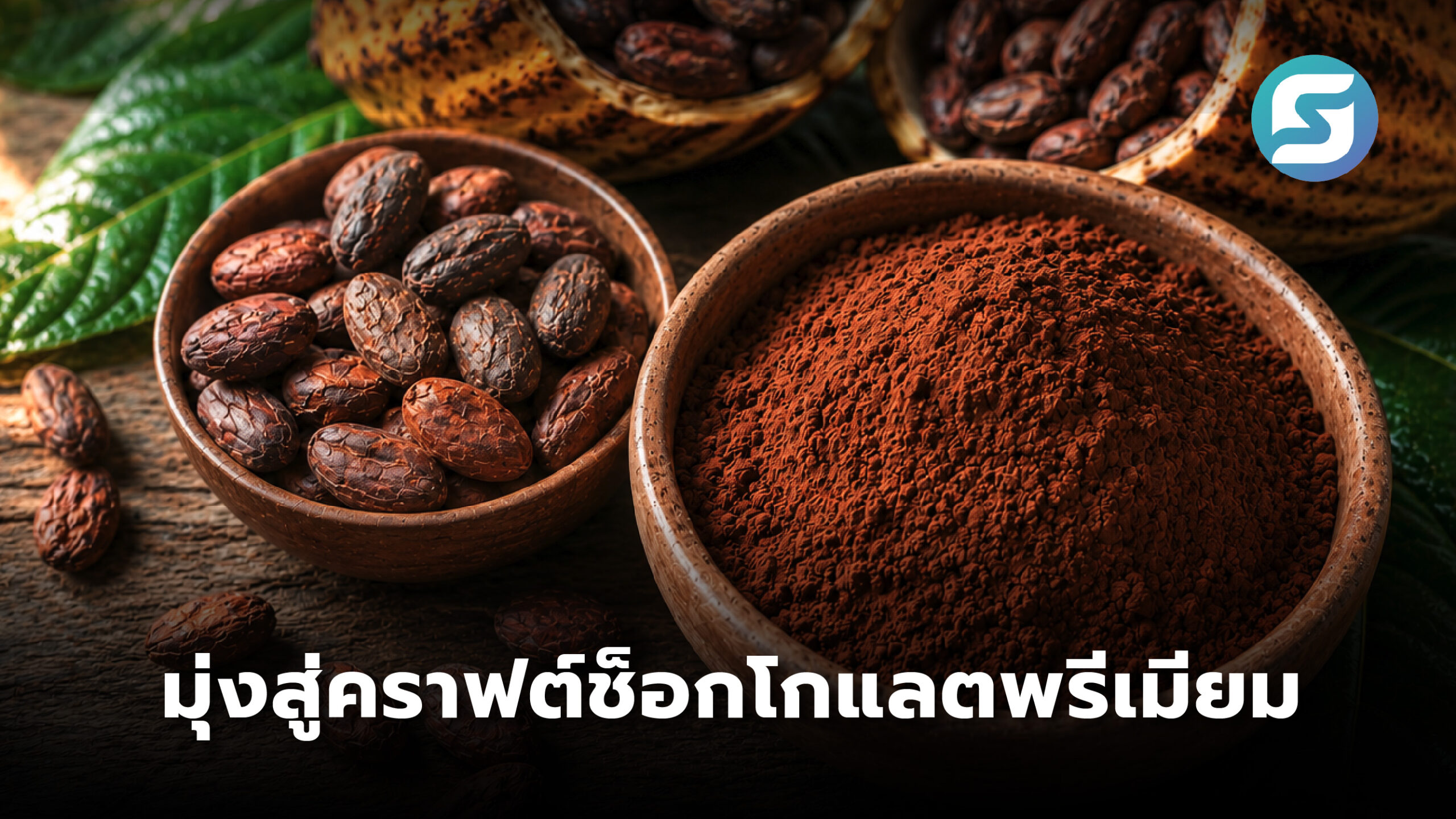 โกโก้ไทย