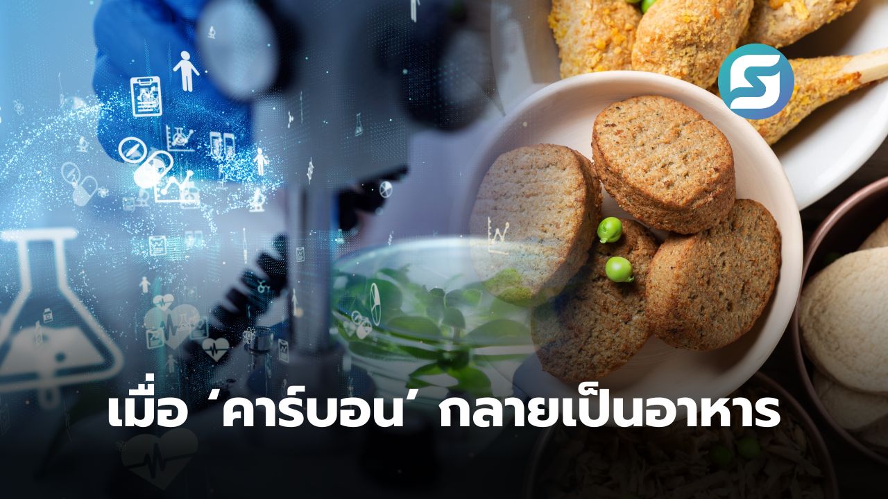 โปรตีนจากคาร์บอน