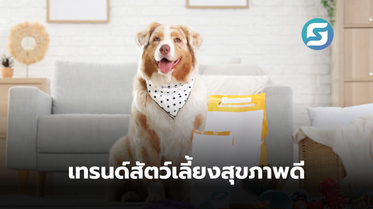 Healthy Pet-Affordable Premium